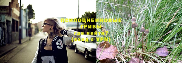 крисы Алексеевка