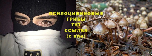 бошки Алексин