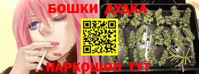 прущие грибы Малгобек