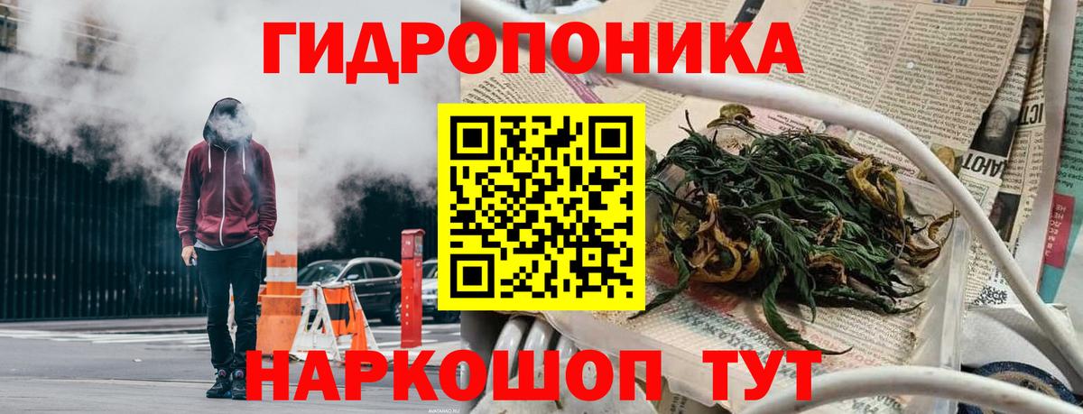 Бошки марихуана ГИДРОПОН  Вход с VPN  МАРИХУАНА марихуана  Омск 